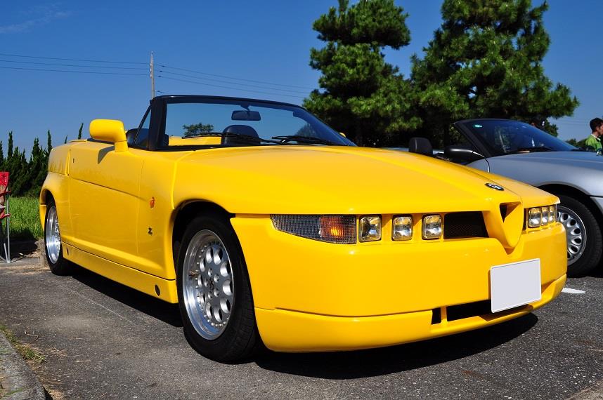 161016MAIKO5000 (2).JPG